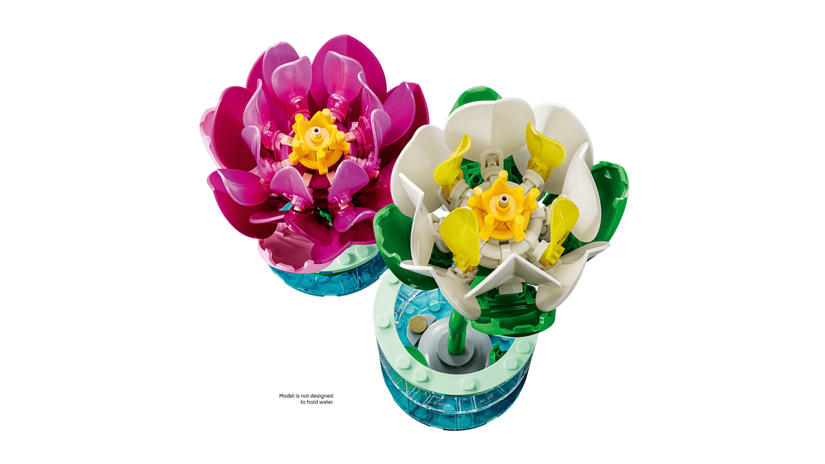 Water Lilies