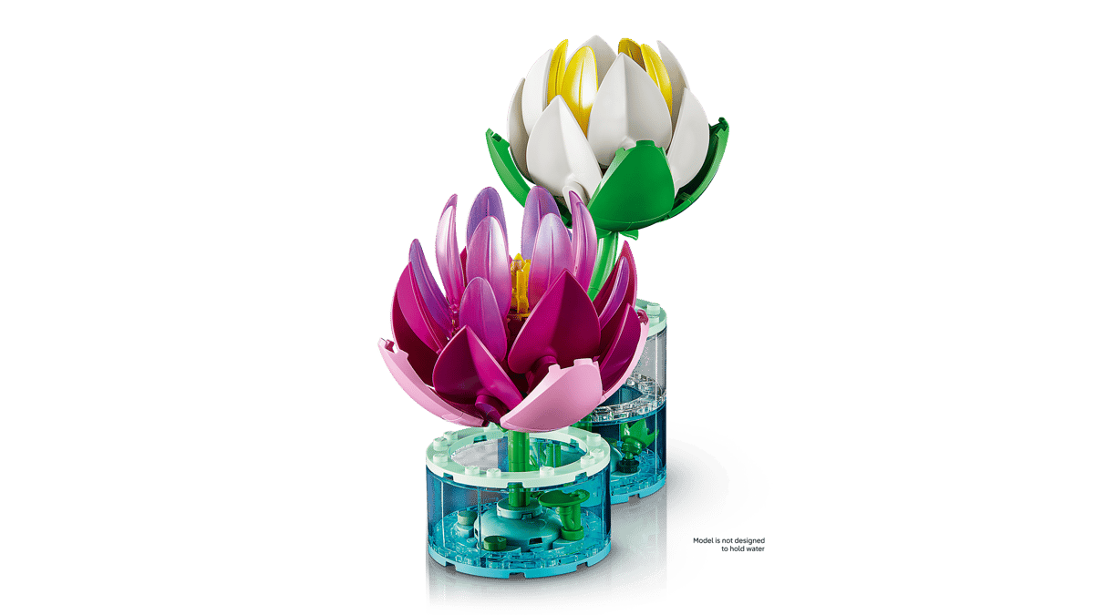 Water Lilies
