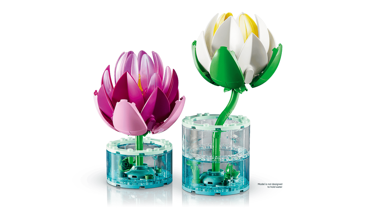 Water Lilies