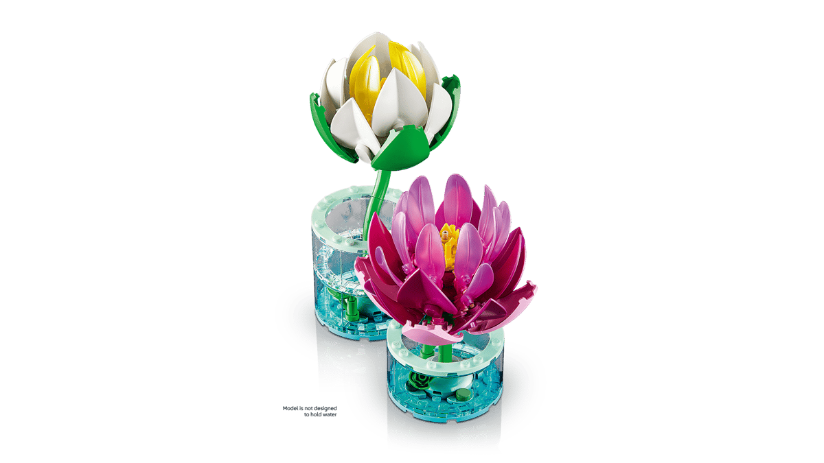 Water Lilies