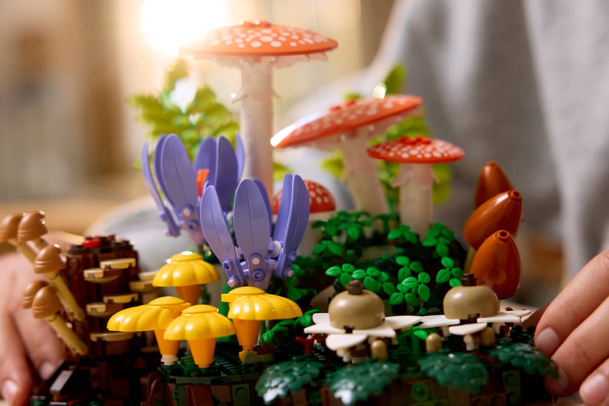Woodland Mushrooms