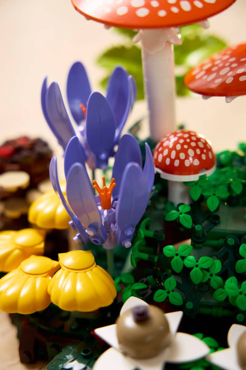 Woodland Mushrooms