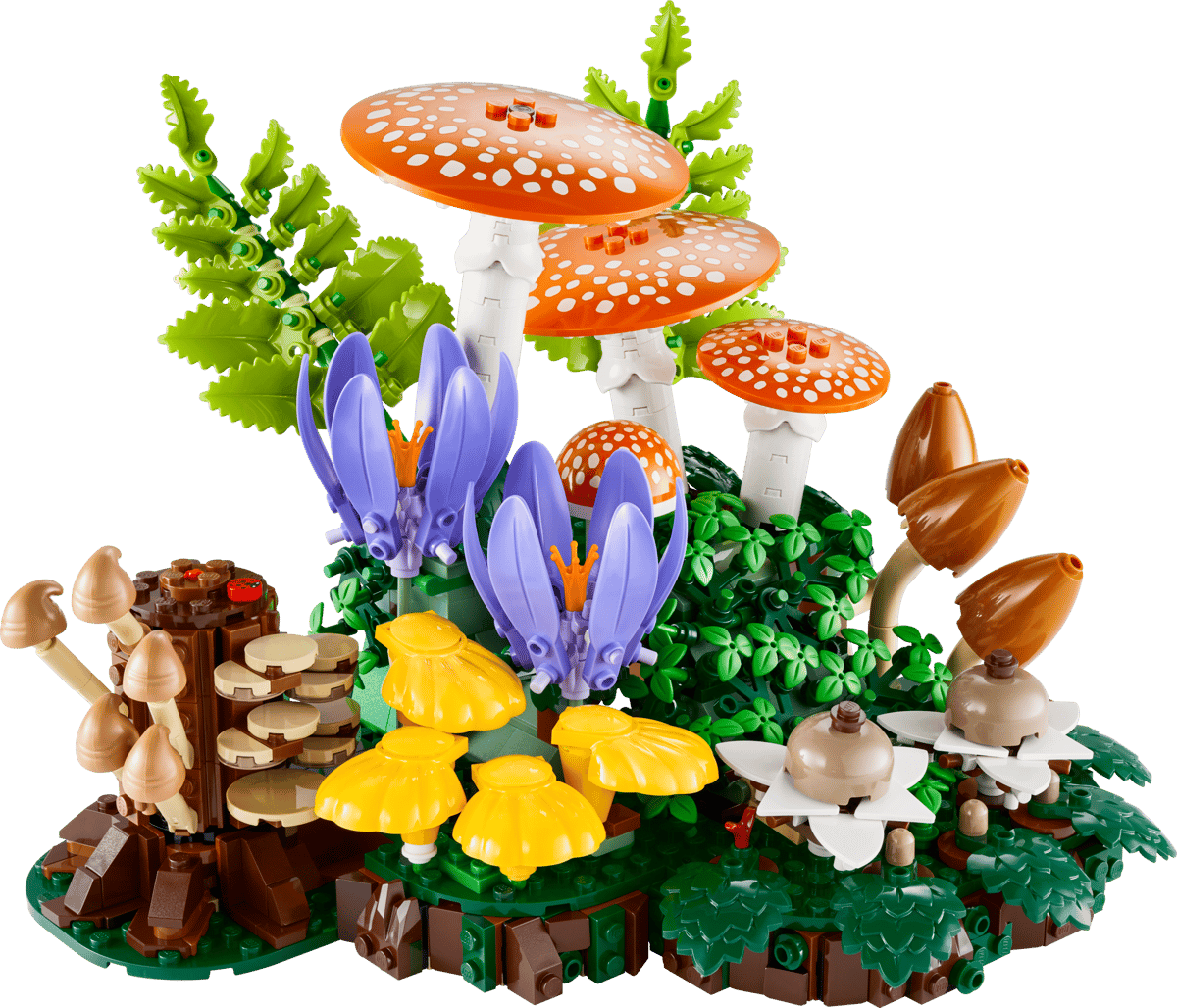 Woodland Mushrooms