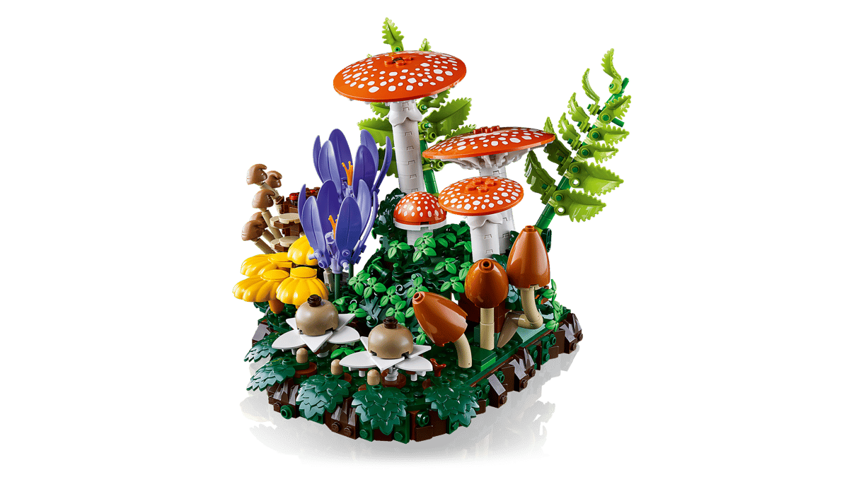 Woodland Mushrooms