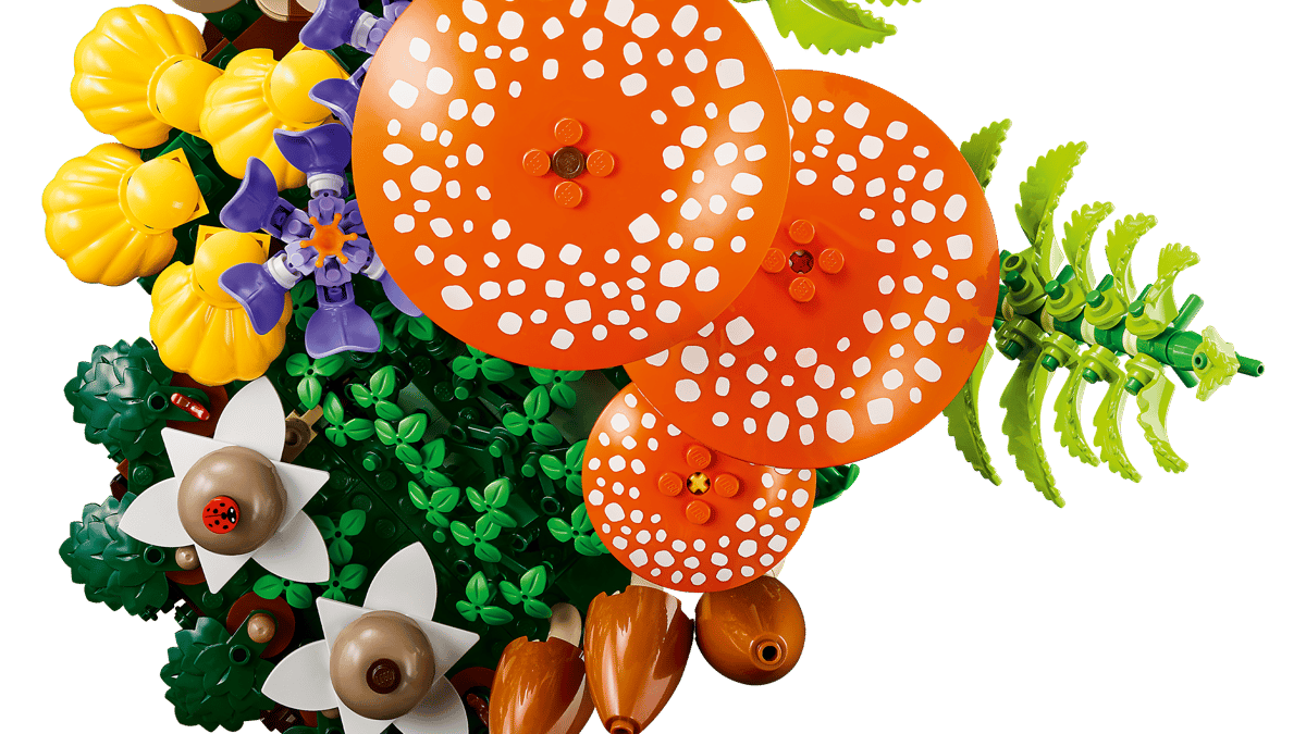 Woodland Mushrooms