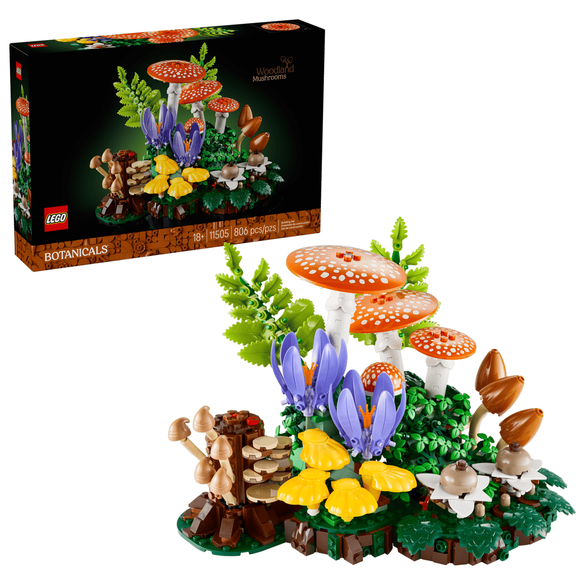 Woodland Mushrooms