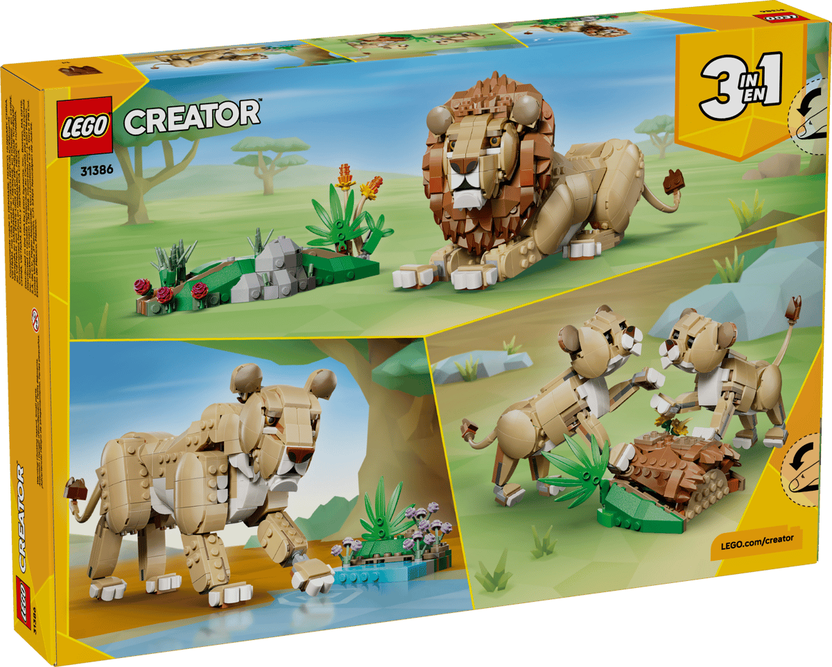 Wild Animals: Majestic Lion