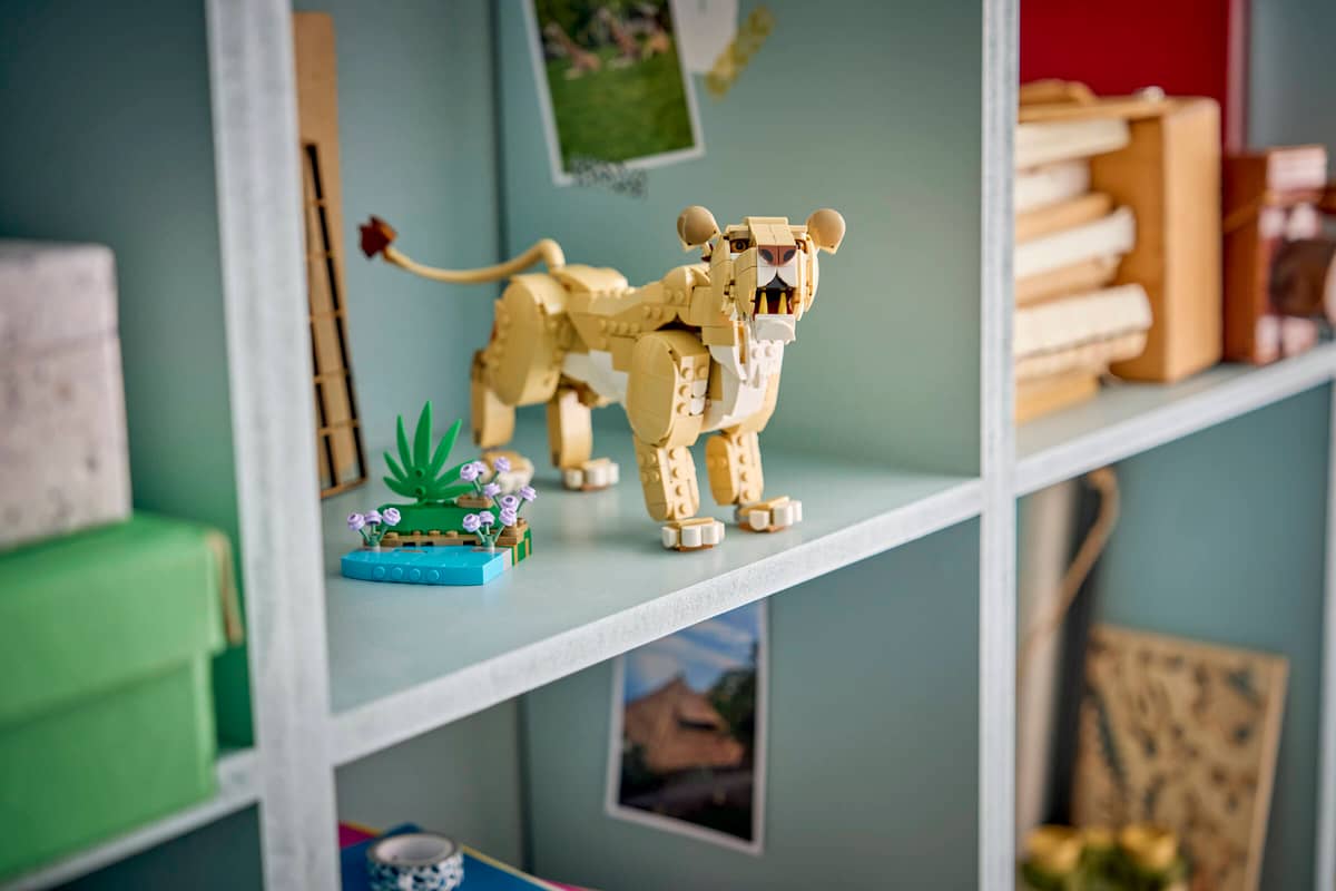 Wild Animals: Majestic Lion