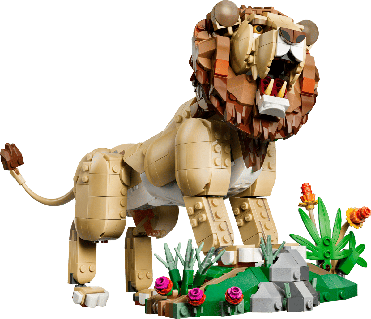 Wild Animals: Majestic Lion