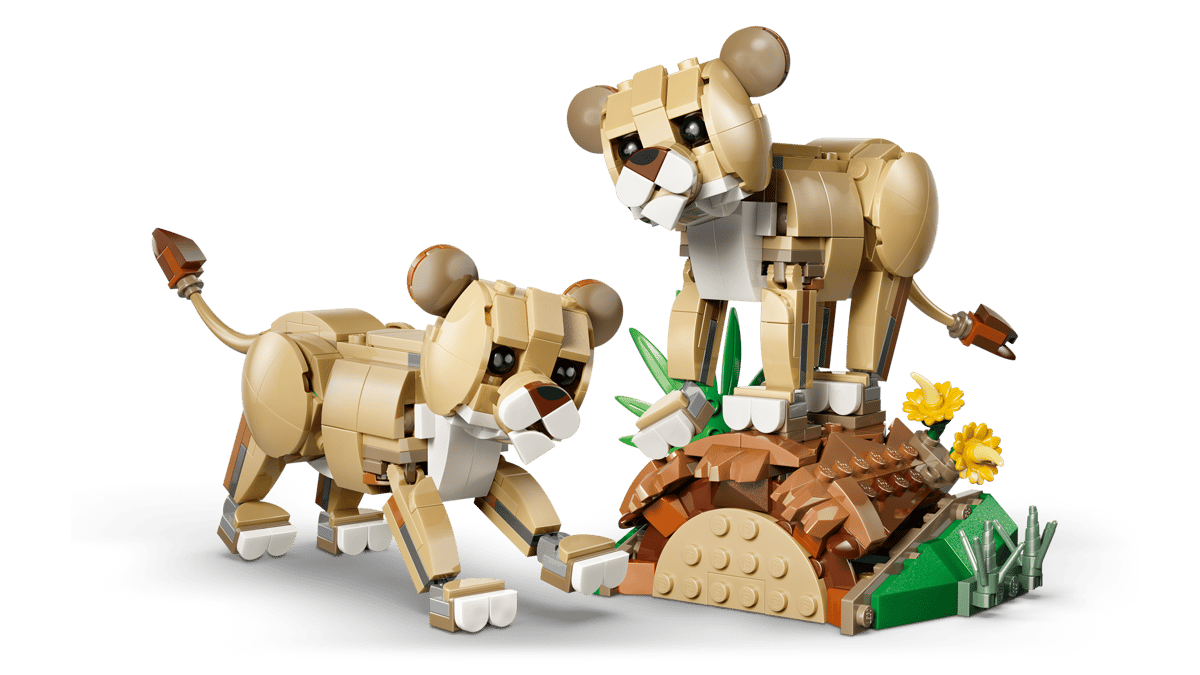 Wild Animals: Majestic Lion