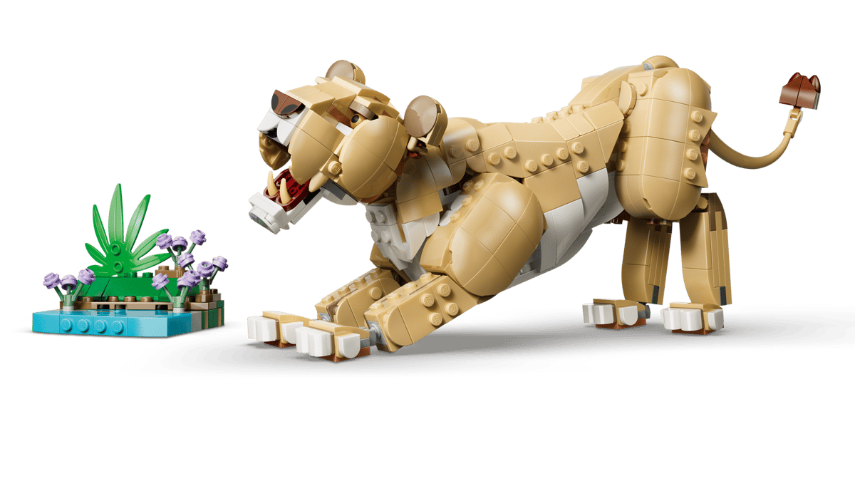 Wild Animals: Majestic Lion