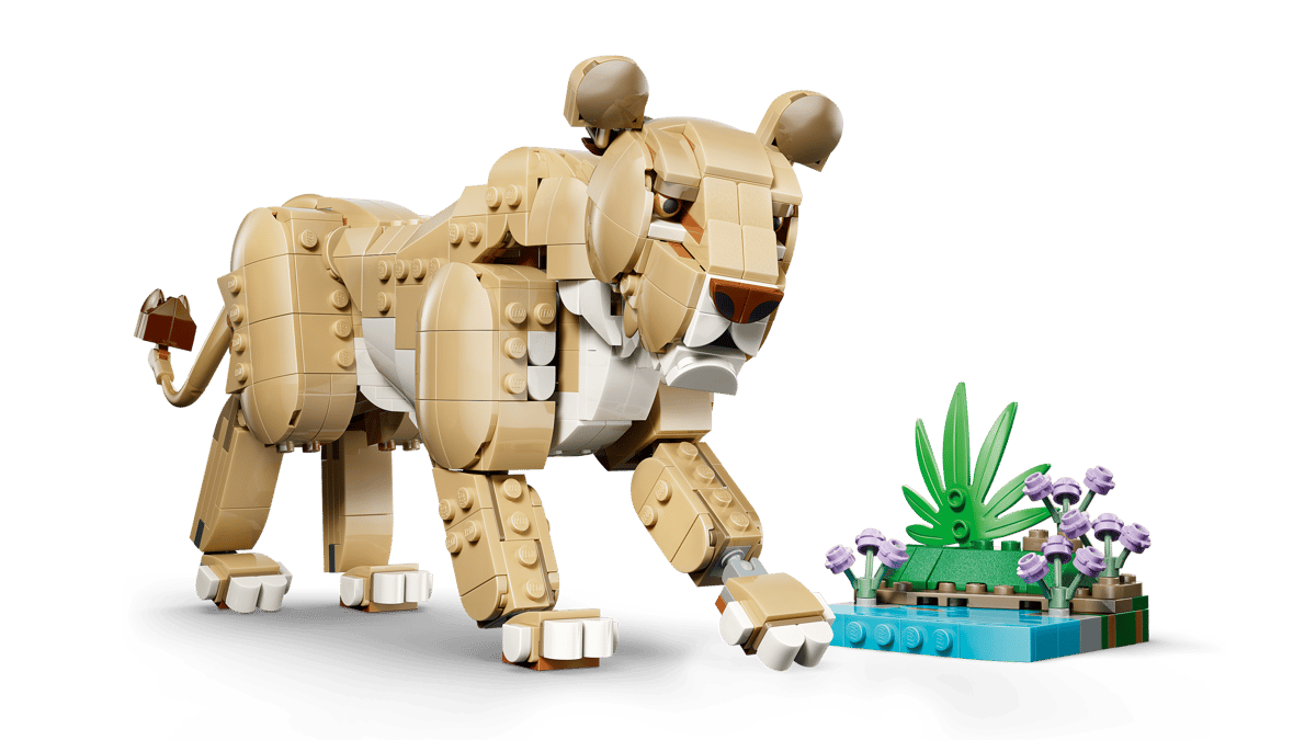 Wild Animals: Majestic Lion