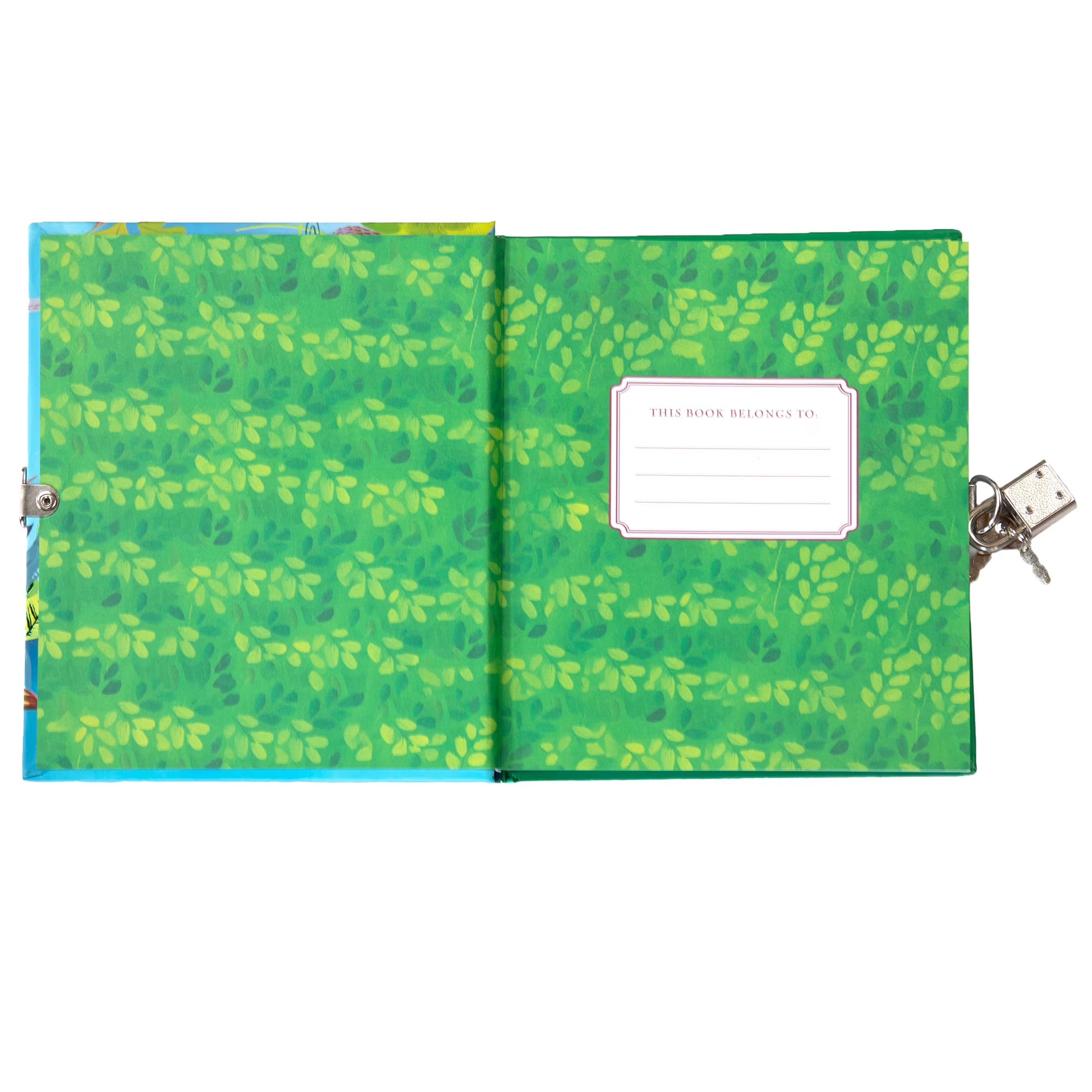 Rainforest Animals Journal