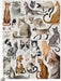 200-Piece Puzzle - Cat Breeds