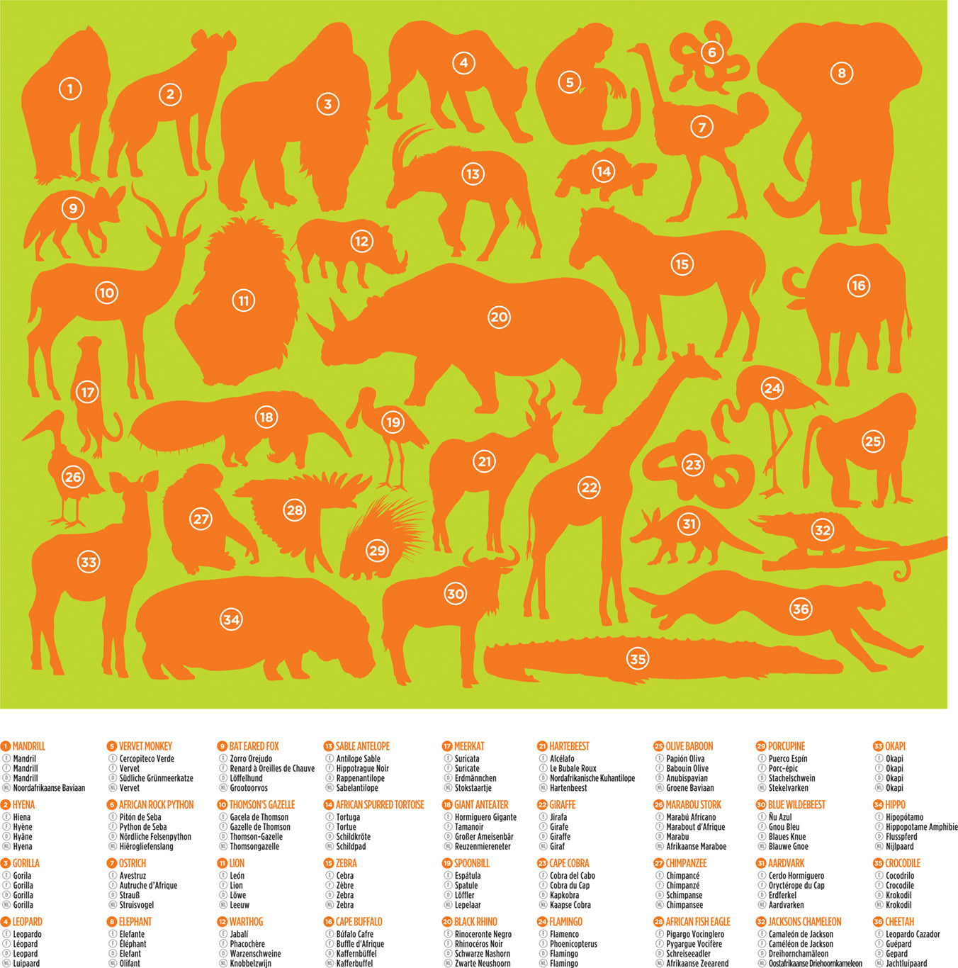 100-pc 36 Puzzle - Wild Animals