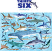 100-pc 36 Puzzle - Sharks