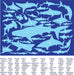 100-pc 36 Puzzle - Sharks