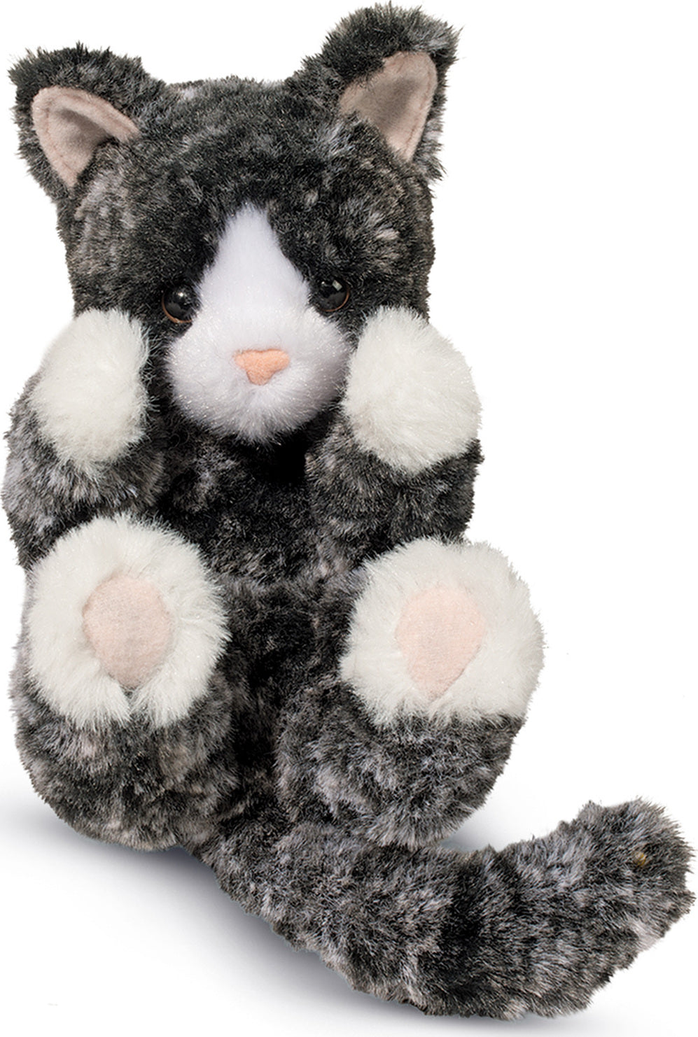 Lil' Baby Black and White Kitten