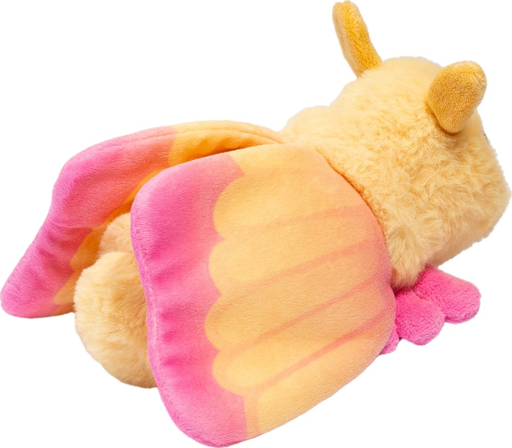 Rosy Maple Moth