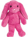 Begonia Floppy Bunny, Small