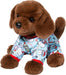 Chocolate Lab PJ Pup