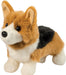 Gizmo Tri Color Corgi