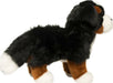 Stevie Bernese Mountain Dog