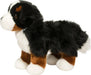 Stevie Bernese Mountain Dog