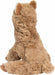 Pete Alpaca