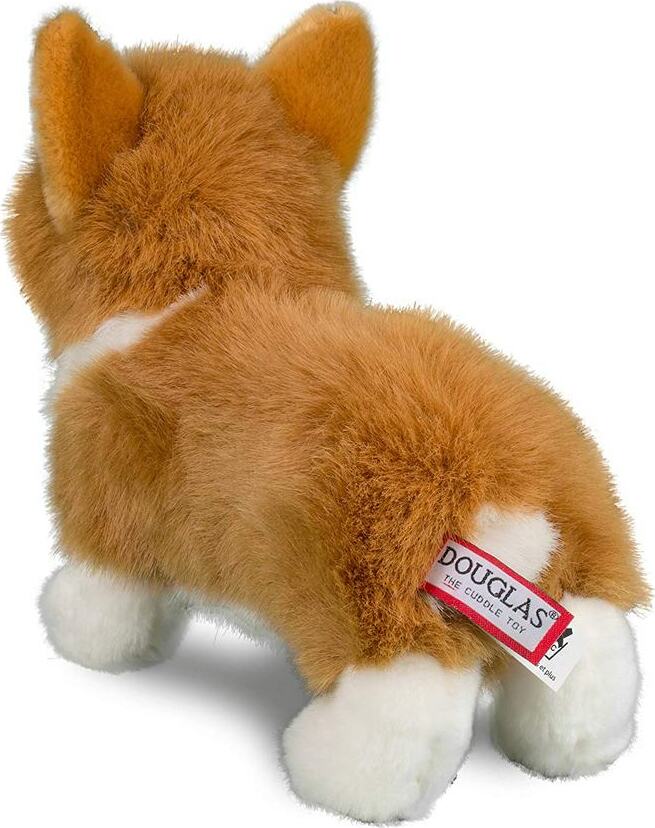 Louie Corgi