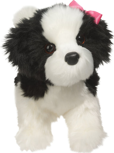 Poofy Black & White Shih-Tzu