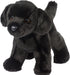 Bear Black Lab