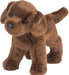 Tucker Chocolate Lab