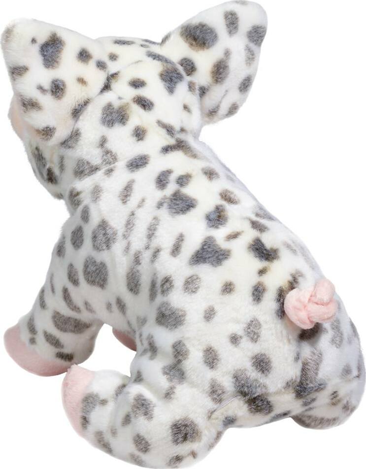 Pauline Spotted Pig, Medium