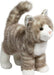 Zipper Gray Tabby Cat