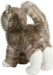 Zipper Gray Tabby Cat