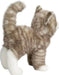 Zipper Gray Tabby Cat