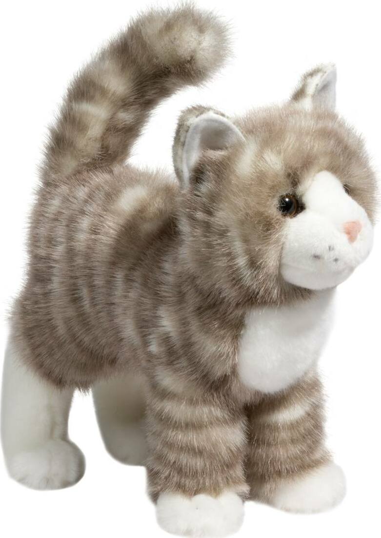 Zipper Gray Tabby Cat