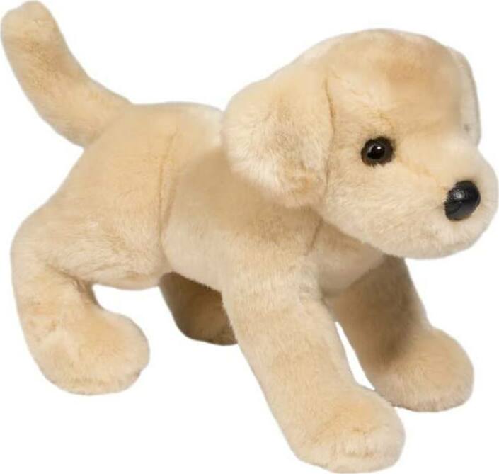 Spankie Yellow Lab