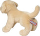 Spankie Yellow Lab