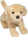 Spankie Yellow Lab
