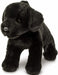 Brewster Black Lab