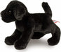 Brewster Black Lab