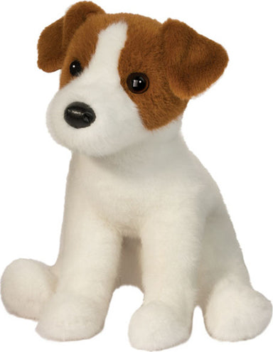 Fiona Jack Russell Terrier