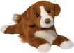 Rush Duck Tolling Retriever