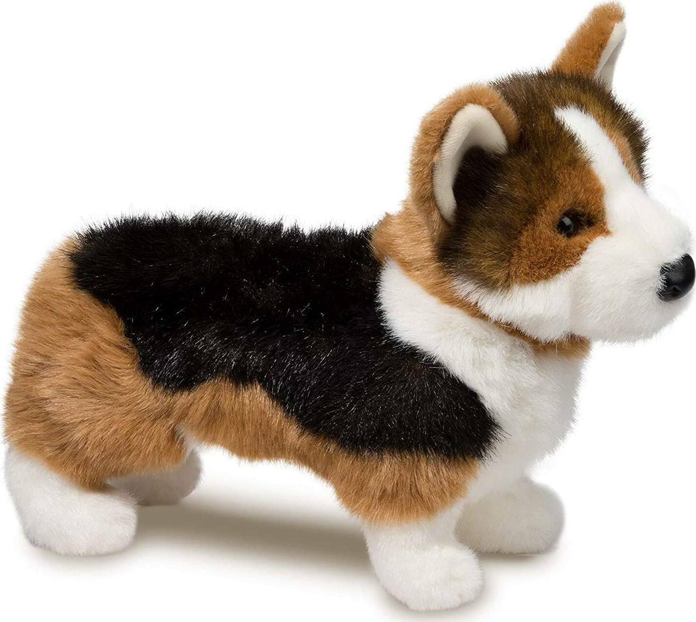Kirby Tri-Colored Corgi