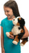 Trevor Bernese Mountain Dog