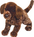 Wolfgang Pointer