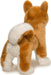 Dunham Shiba Inu