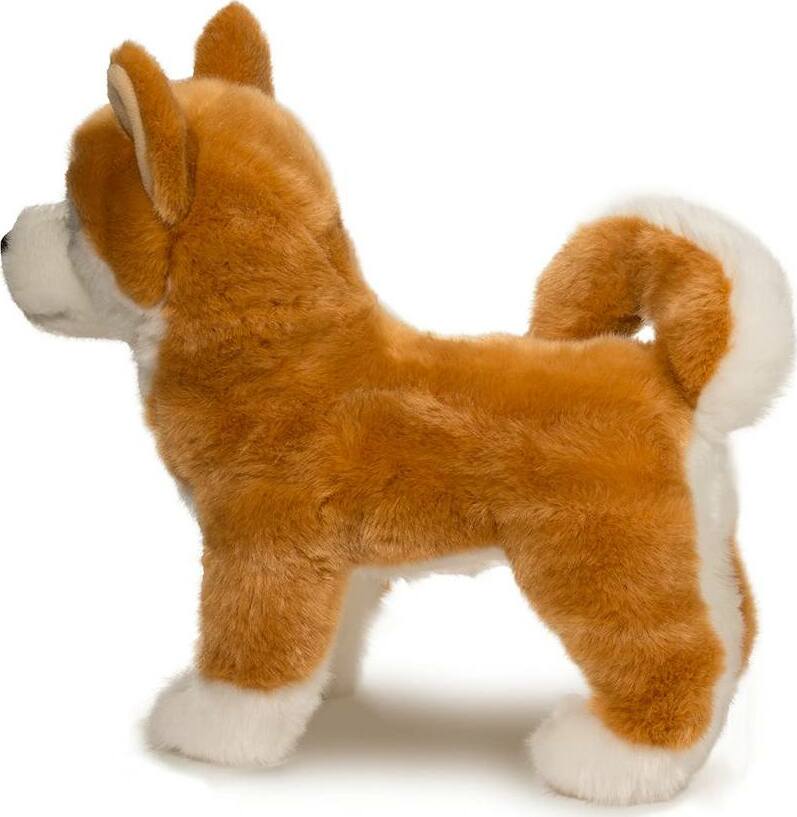 Dunham Shiba Inu